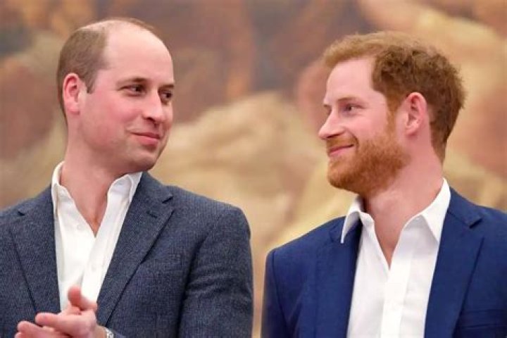 Prince Harry And Prince William ‘Back In Touch’ After Reported Fallout, Royal Expert Reveals!