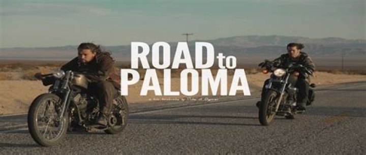 Road To Paloma Review