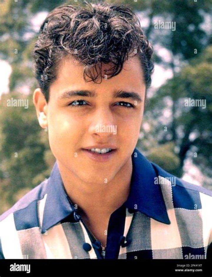 Sal Mineo Biography - Facts, Childhood, Family Life & Achievements