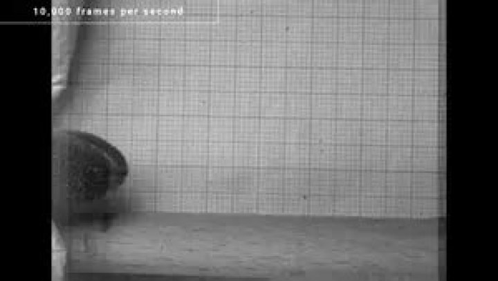 Samuel Haskell (Sam Haskell’s Son) Wiki, Age, Wife, Parents and More