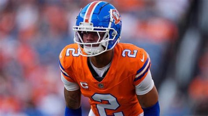 Sean Lee Net Worth: How Rich is the Retired NFL Player Actually?