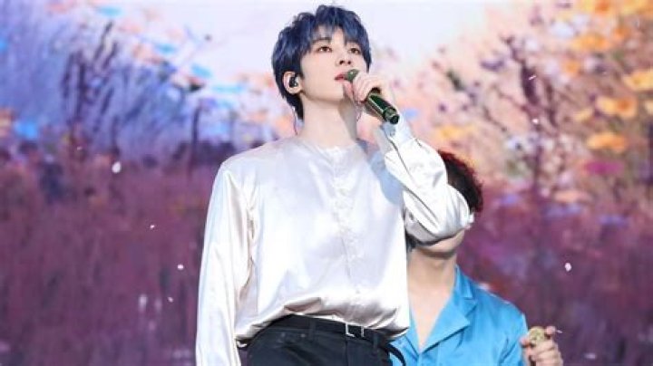 
Seventeen Wonwoo Mother Died From Chronic Illness & Family Is Mourning 