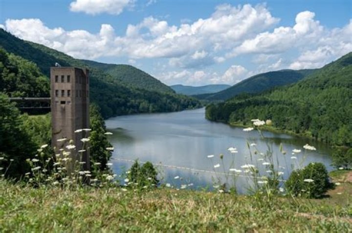 Shane Phillips Found Dead in Pennsylvania Reservoir