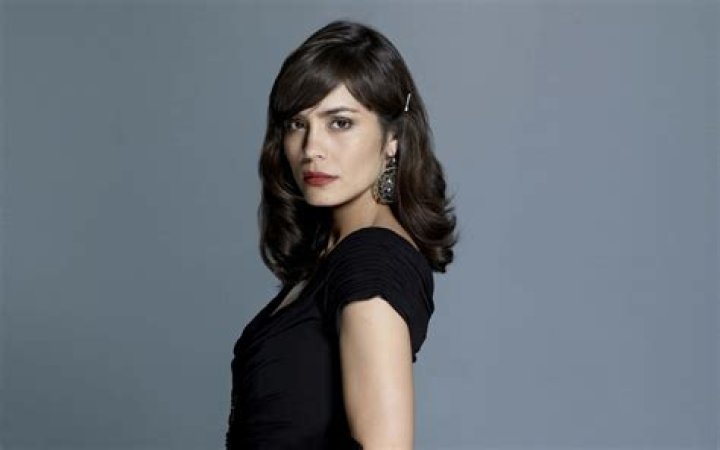 Shannyn Sossamon Age Wiki, Biography Net Worth, Married, Husband, Age, Height