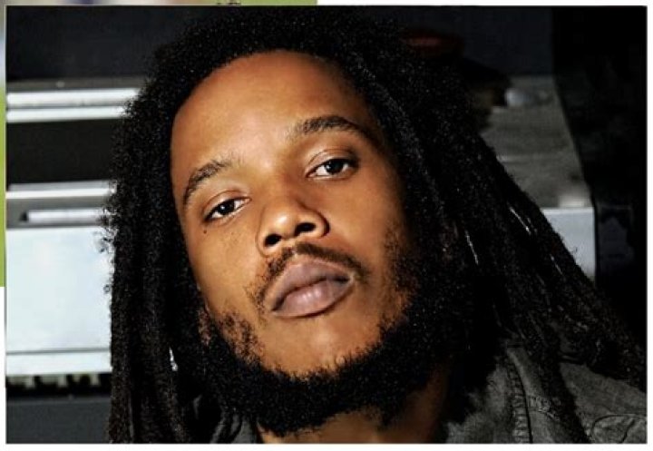 Stephen Marley Net Worth, Income, Salary, Earnings, Biography