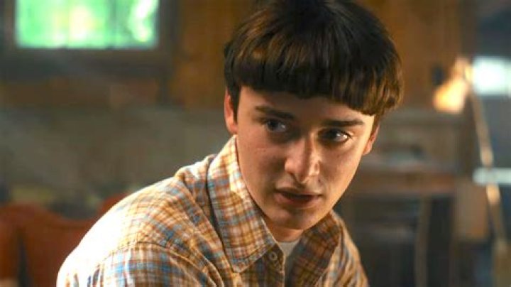 ‘Stranger Things’ star confirms he’s a Byler shipper