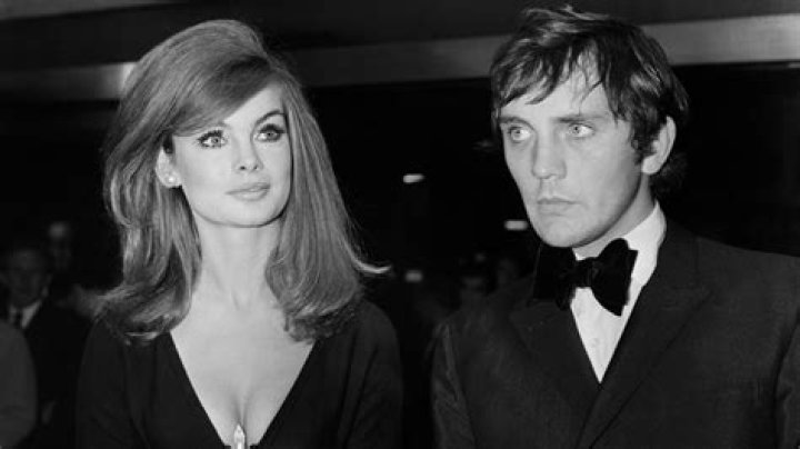 Terence Stamp Biography - Facts, Childhood, Family Life & Achievements