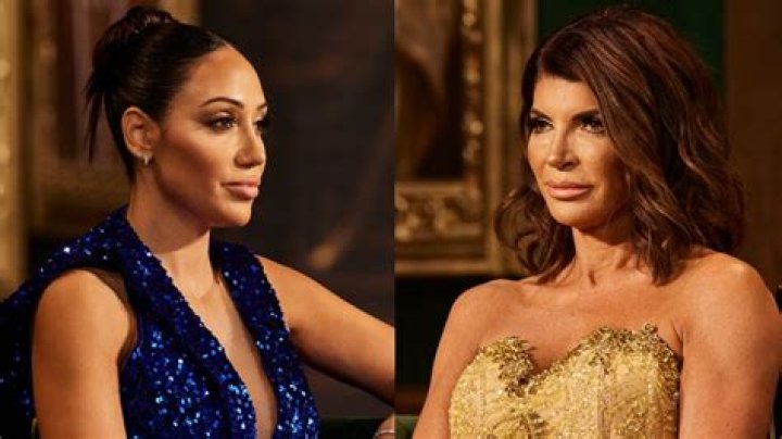 Teresa Giudice Reveals She And Joe Tried To Have A Son Via IVF – Here’s What Ended Up Happening!