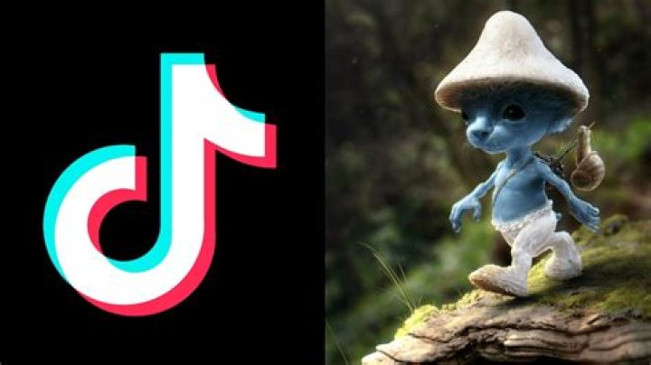 The blue Smurf cat meme on TikTok, explained