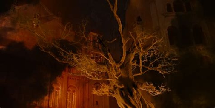 ‘The Rings of Power’: What is the White Tree in Númenor?