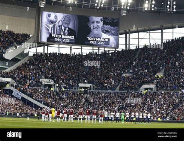 
Tony Marchi Age, Birthday, Wikipedia, Who, Nationality, Biography 