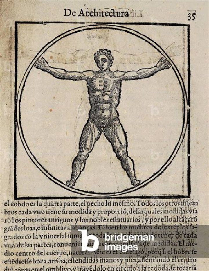 Vitruvius Biography - Facts, Childhood, Family Life & Achievements of Ancient Roman Architect