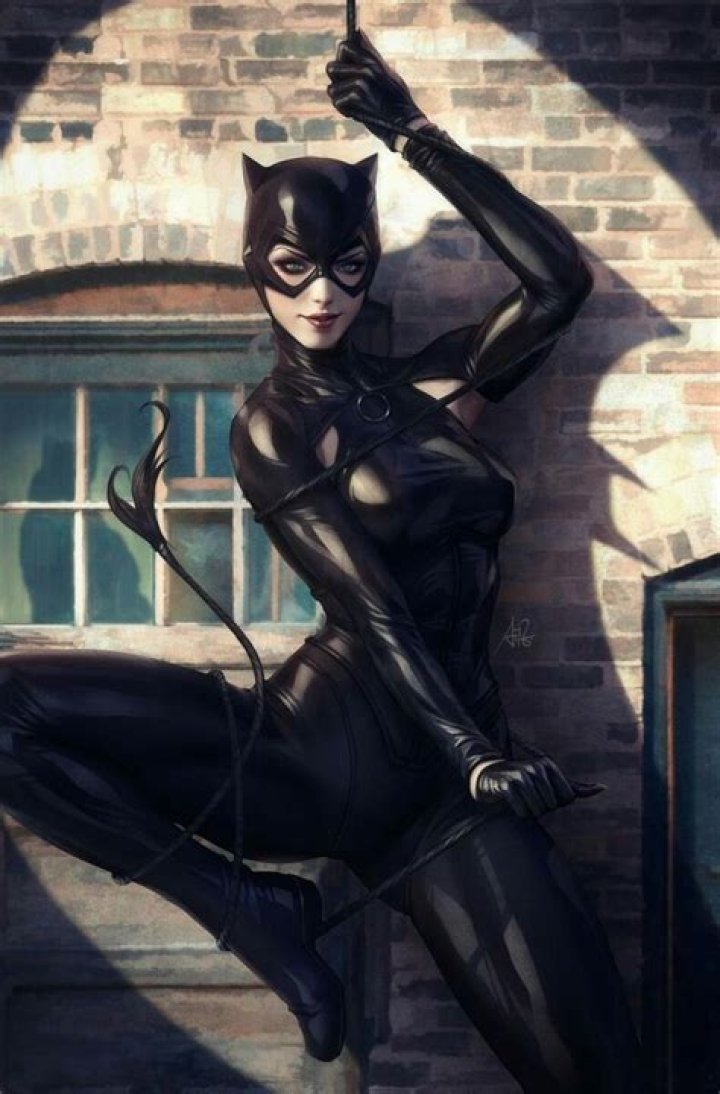 Voice Cast Announced For New Catwoman Anime Film