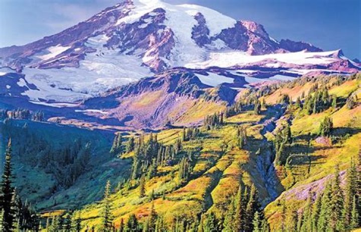 Famous People From Washington & Celebs Born In Washington.