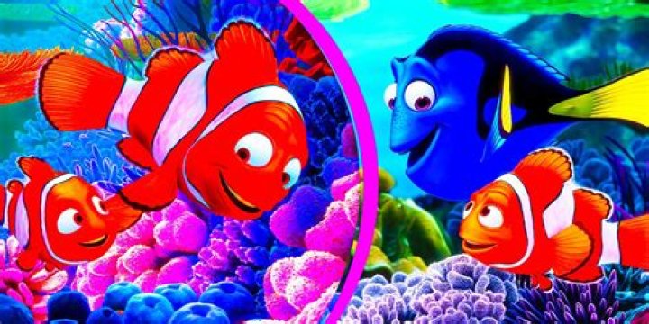 What Does Nemo’S Fin Symbolize? – Celebrity