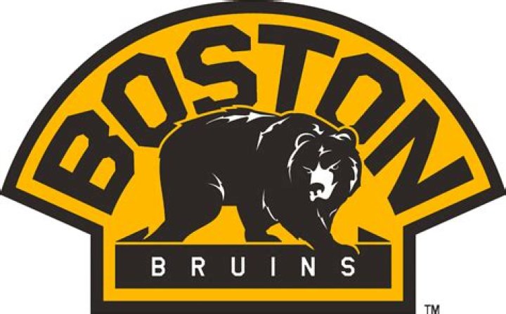 What is Boston Bruins logo? – Celebrity