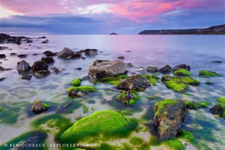 What Is Rick Riordan’S Net Worth? – Celebrity