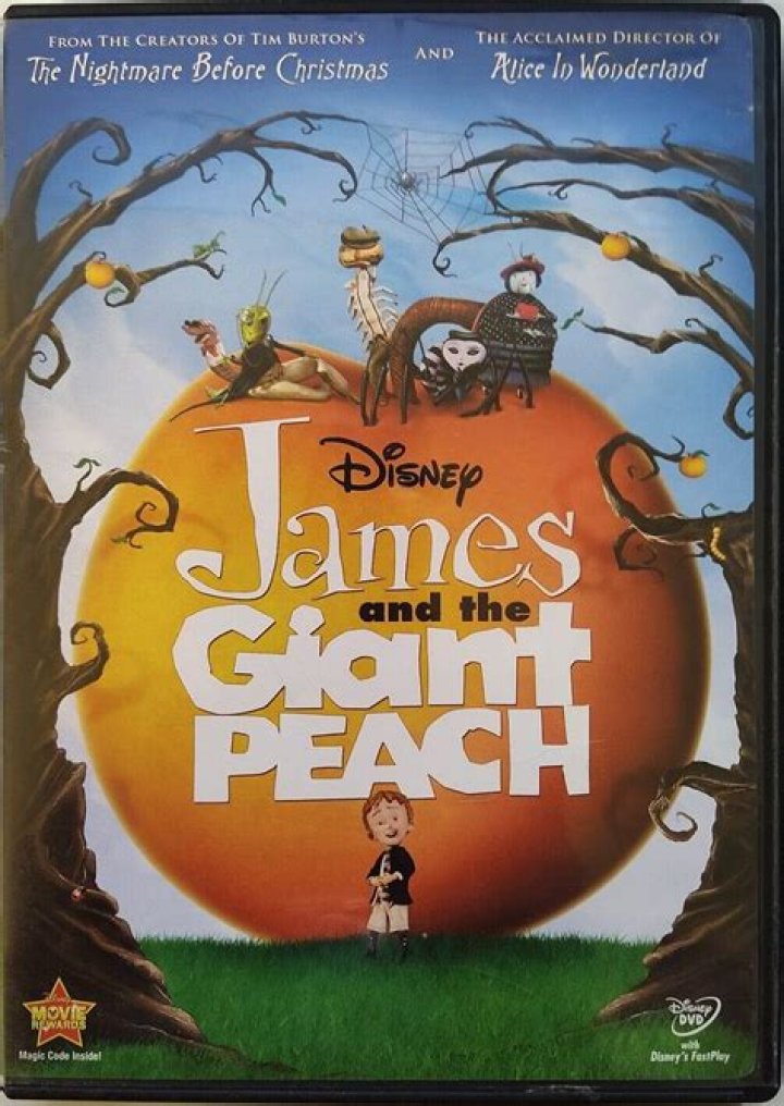 What is the black rhino in James and the Giant Peach? – Celebrity