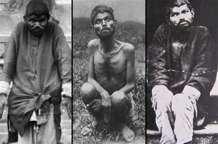 What is the meaning of Mowgli Mowgli? – Celebrity