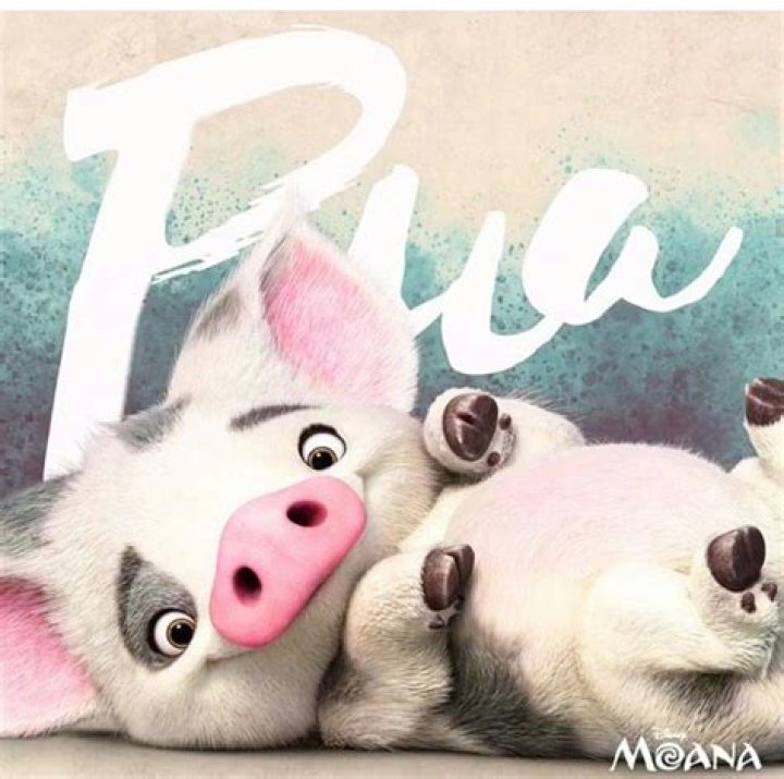 What is the pig from Moana’s name? – Celebrity