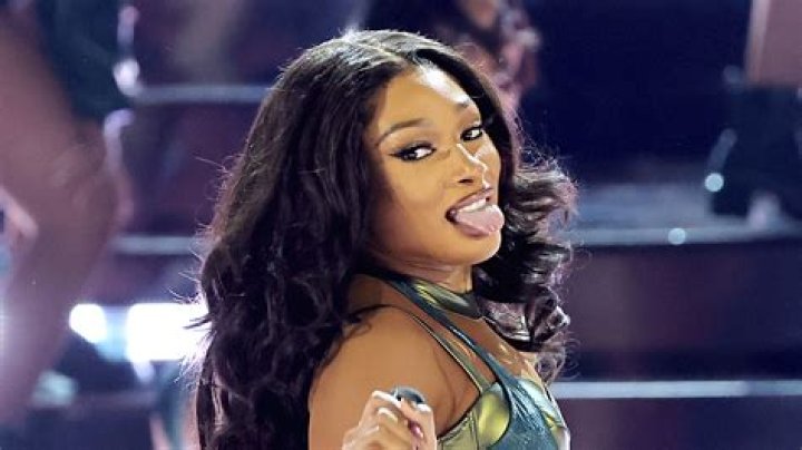 What Was Megan Thee Stallion Doing Before Fame? – Celebrity