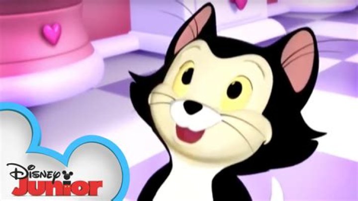 When did Figaro become Minnie’s cat? – Celebrity