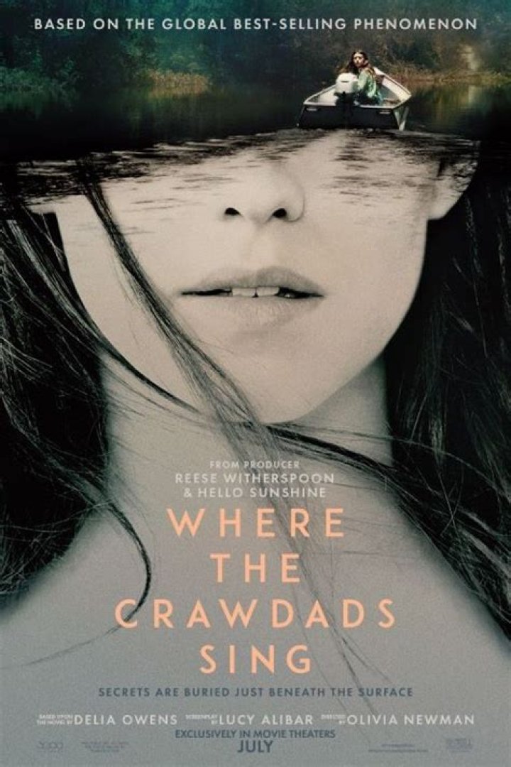 ‘Where the Crawdads Sing’ movie ending, explained