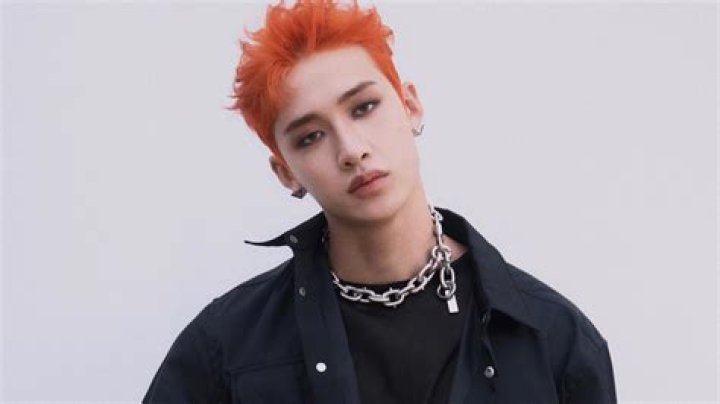 Who is Bang Chan from Stray Kids?