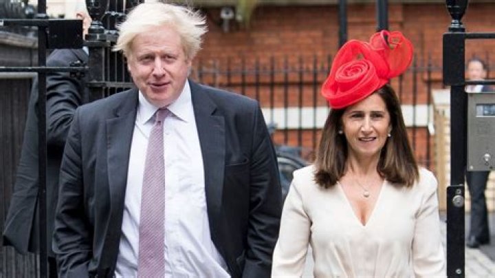 Who is Boris Johnson son Theodore Apollo Johnson and his mother?