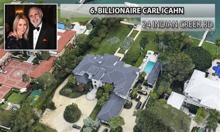 Who is Carl Icahn wife Liba Trejbal?