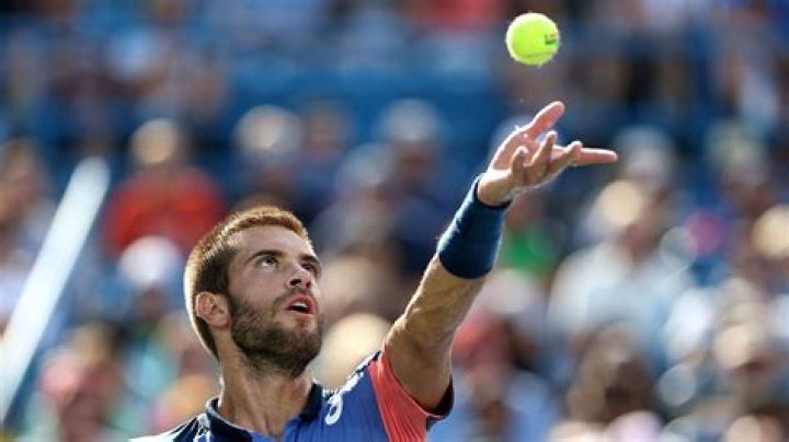 Who is Elise Mertens coach Philippe Dehaes?