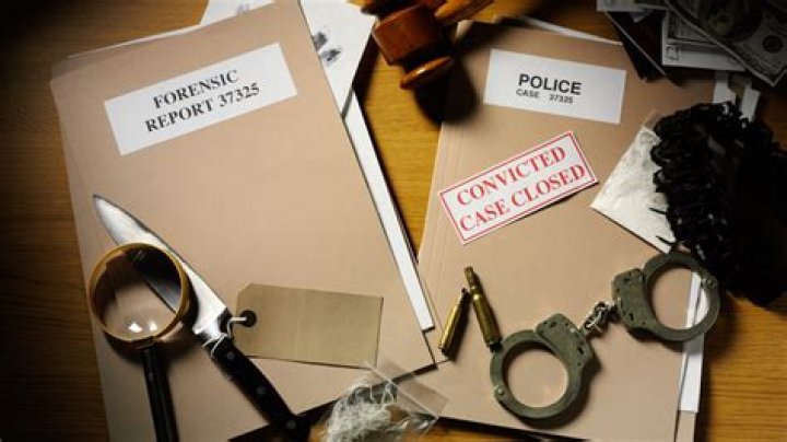 Who is the newlywed who hired a hitman to kill her husband? Dalia Dippolito murder plot explained