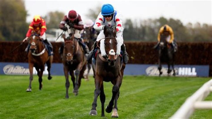 Who Is Tommy Burns The Horse Killer From “Netflix Bad Sport: Horse Hitman”? Update Now