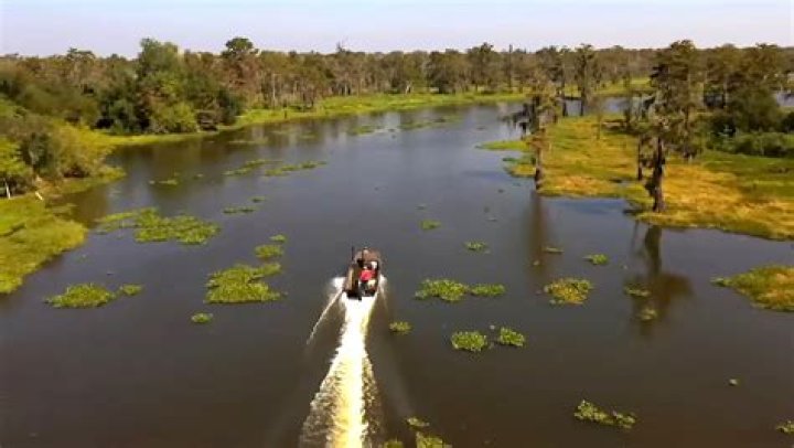 Who won the 350 alligator tags on ‘Swamp People’ 2023?