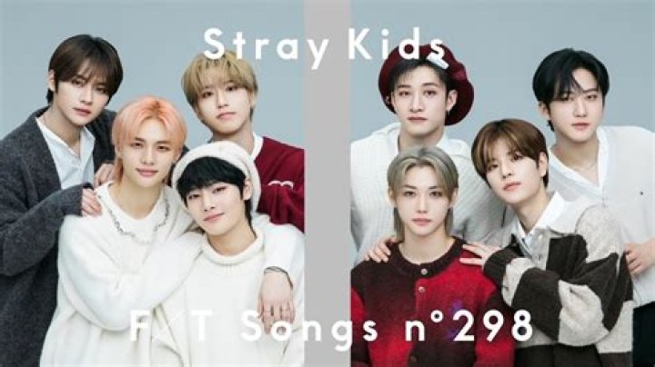 Why Did The Stray Kids Break Up? – Celebrity