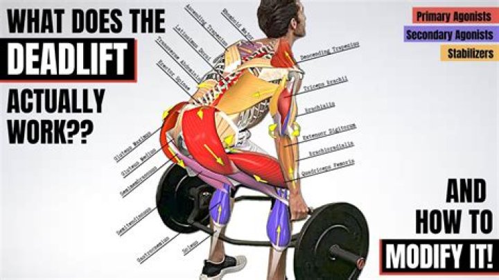 Why Is Deadlift Called Dead? – Celebrity