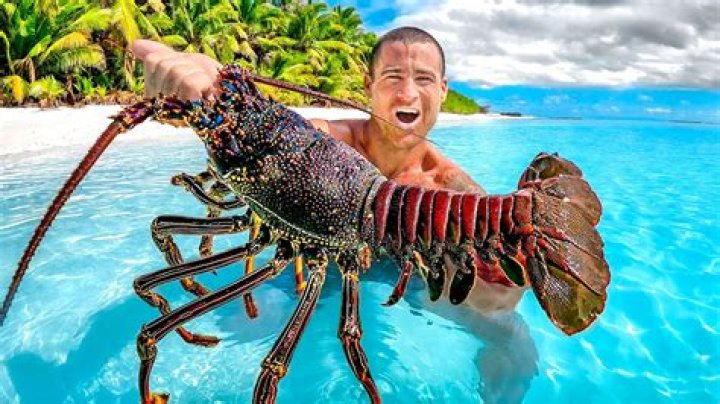 Why Sebastian is a lobster? – Celebrity