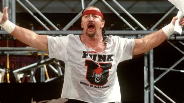 Wrestling Legend Terry Funk Cause of Death, How Did Terry Funk Die?