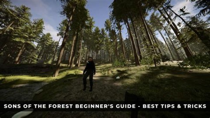 Your Guide Beyond The Games